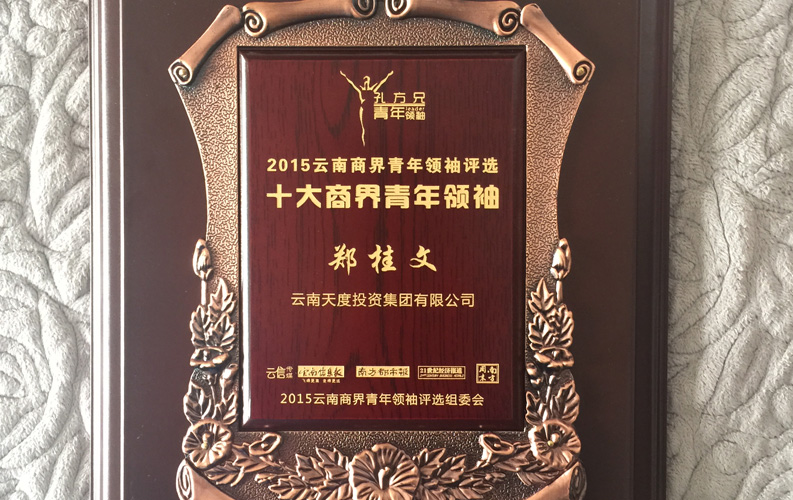 在&ldquo;互聯(lián)網(wǎng)大時(shí)代&rdquo;的背景下，天度作為本土很大和很有名的互聯(lián)網(wǎng)服務(wù)企業(yè)，為近萬家傳統(tǒng)企業(yè)轉(zhuǎn)型互聯(lián)網(wǎng)+提供了服務(wù)和幫助，獲此獎(jiǎng)項(xiàng)后，我們將再接再厲，創(chuàng)造更高的社會(huì)價(jià)值